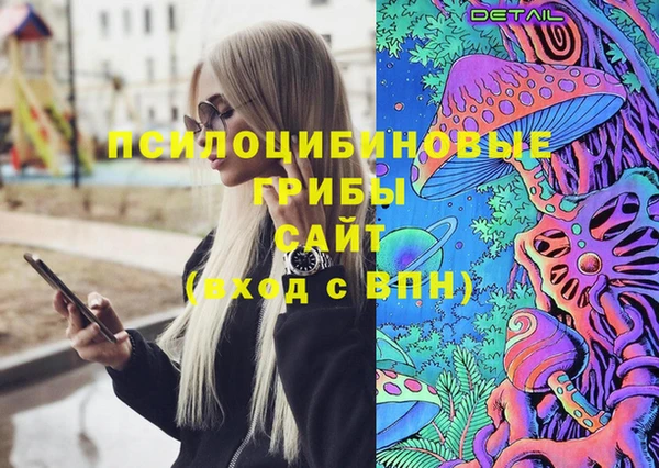 прущий лед Абаза