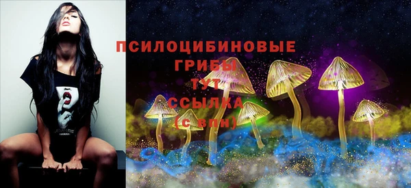 прущий лед Абаза