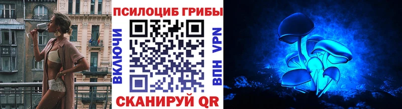 дарнет шоп  KRAKEN зеркало  Псилоцибиновые грибы Cubensis  Уварово 