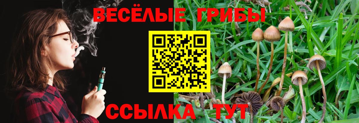 Уварово  Псилоцибиновые грибы Psilocybine cubensis  Вход с VPN 